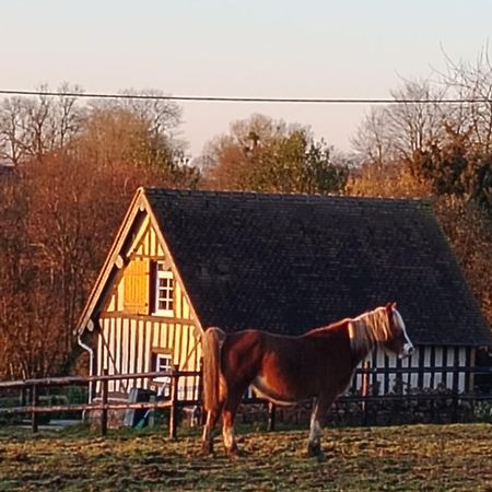 Gite A La Petite Bretonniere Saint-Pierre-Des-Ifs  ภายนอก รูปภาพ
