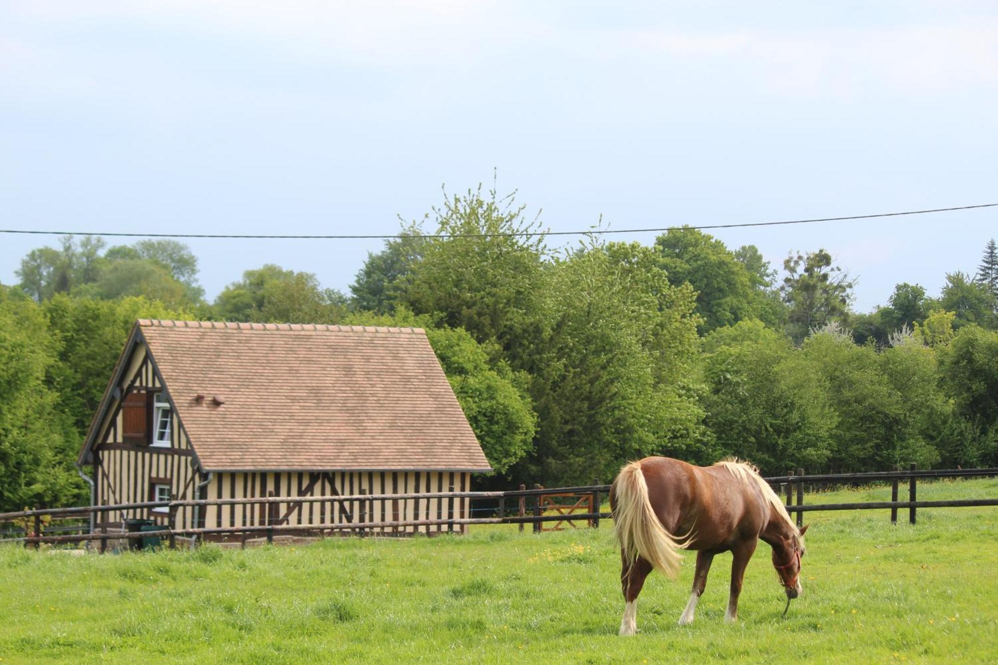 Gite A La Petite Bretonniere Saint-Pierre-Des-Ifs  ภายนอก รูปภาพ