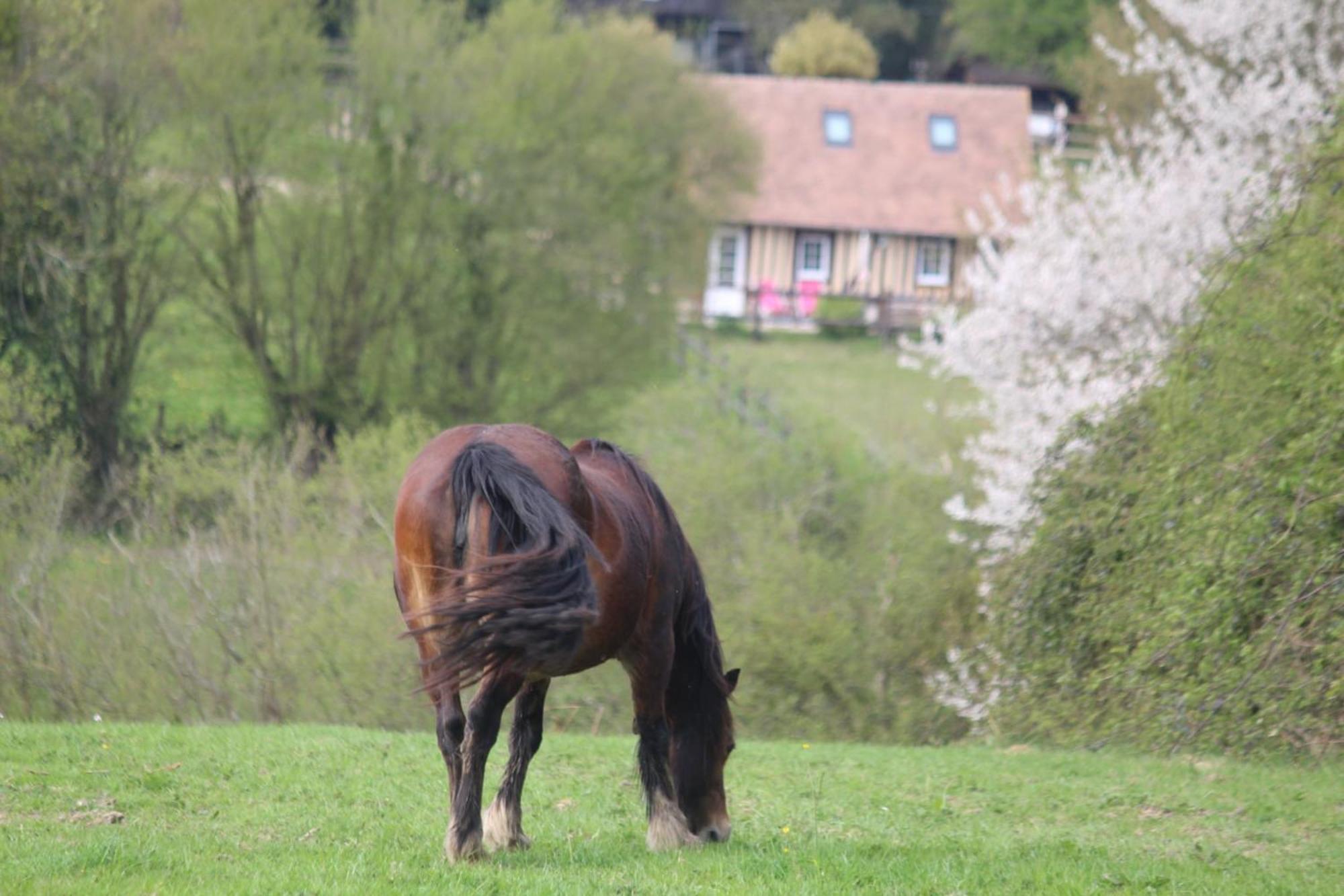 Gite A La Petite Bretonniere Saint-Pierre-Des-Ifs  ภายนอก รูปภาพ